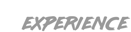 Logo Hyundai Experience